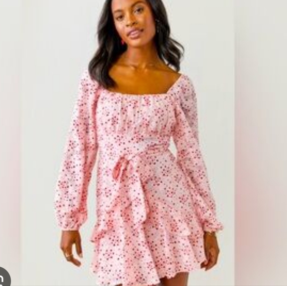Blue Rain Dresses & Skirts - Blue Rain Pink Floral Red Heart Design Long Sleeve Dress Size Small